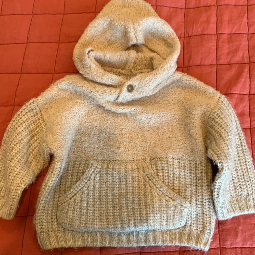 Zara Pullover Hooded Sweater Size 9-12 Months